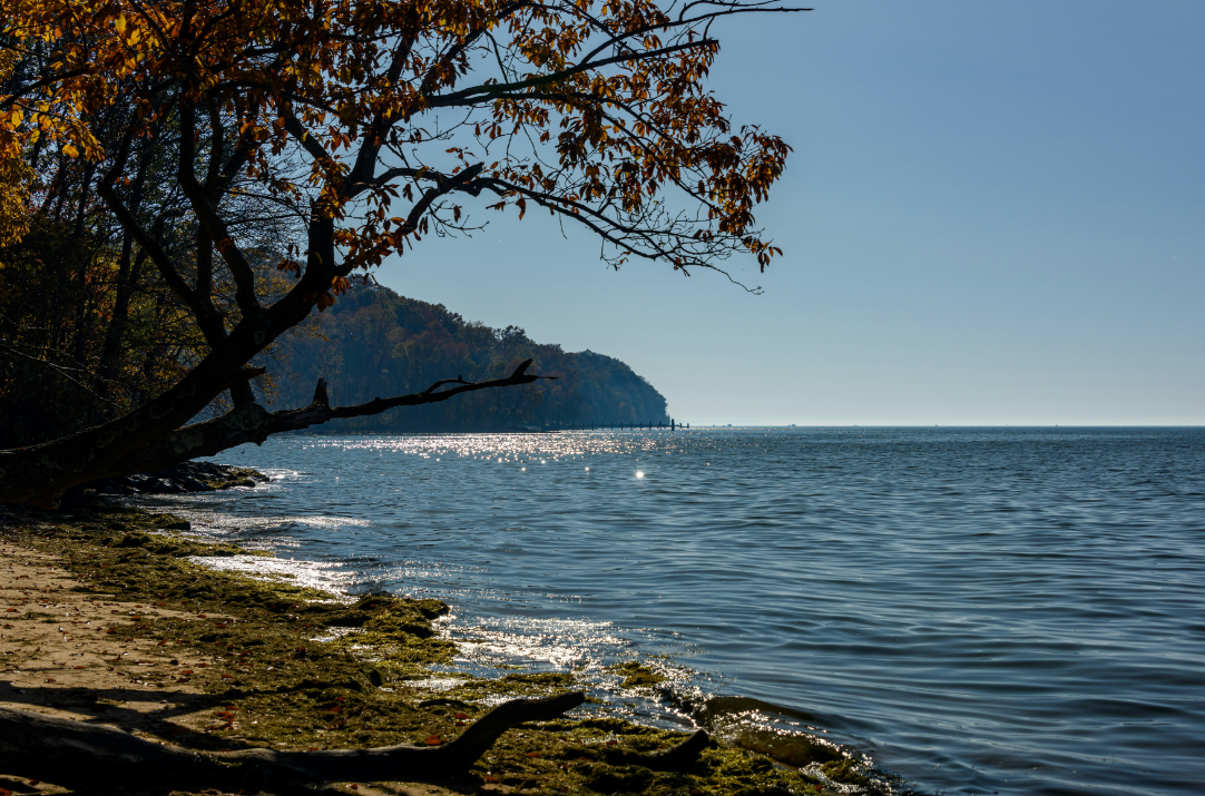 Chesapeake Bay shows elevated levels of hypoxia